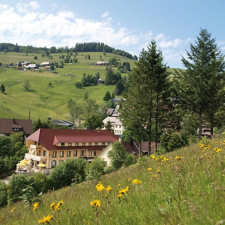 Gruener Baum Naturparkhotel & Schwarzwald-Restaurant Todtnau Luaran gambar