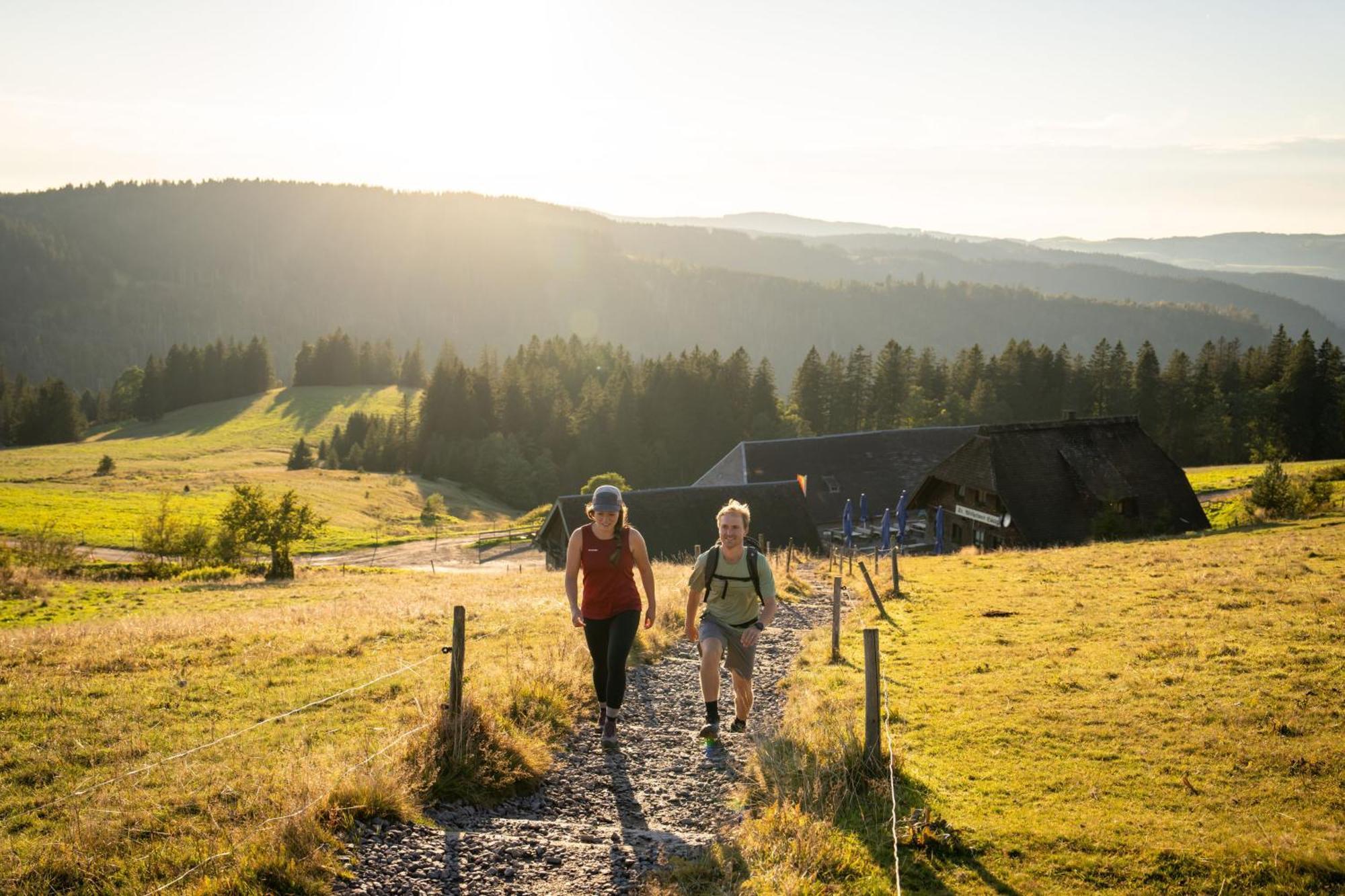 Gruener Baum Naturparkhotel & Schwarzwald-Restaurant Todtnau Luaran gambar