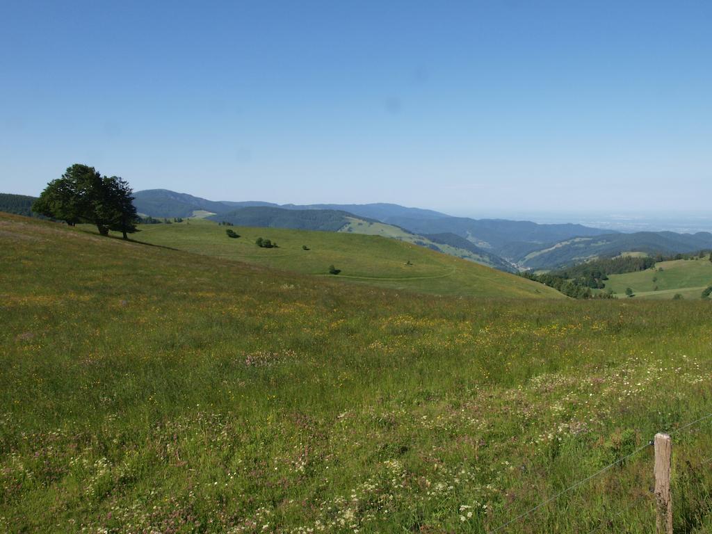 Gruener Baum Naturparkhotel & Schwarzwald-Restaurant Todtnau Luaran gambar