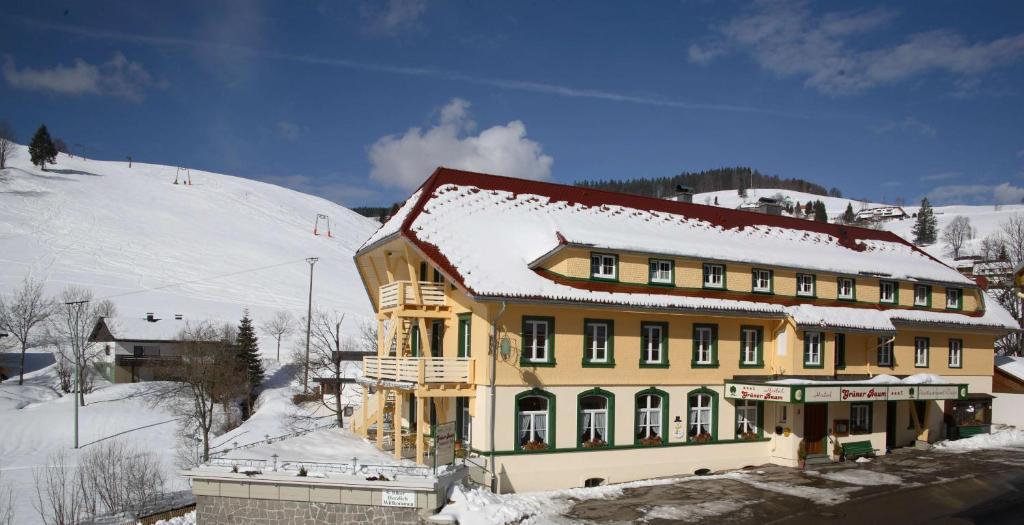 Gruener Baum Naturparkhotel & Schwarzwald-Restaurant Todtnau Luaran gambar