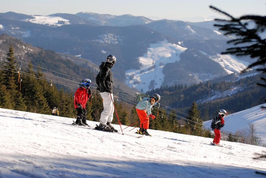 Gruener Baum Naturparkhotel & Schwarzwald-Restaurant Todtnau Luaran gambar