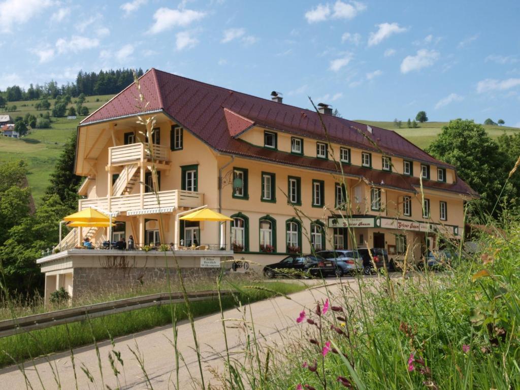 Gruener Baum Naturparkhotel & Schwarzwald-Restaurant Todtnau Luaran gambar