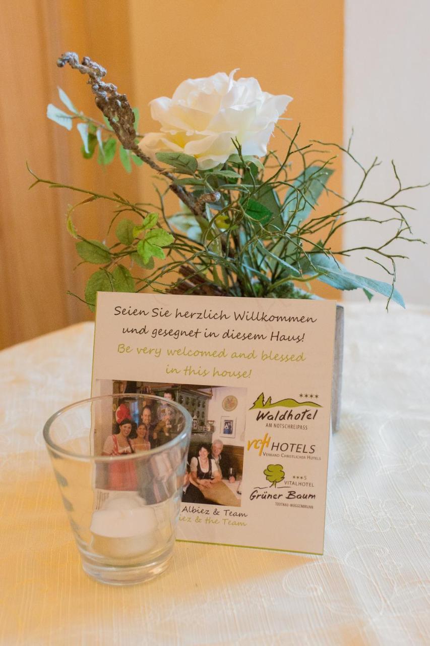 Gruener Baum Naturparkhotel & Schwarzwald-Restaurant Todtnau Luaran gambar